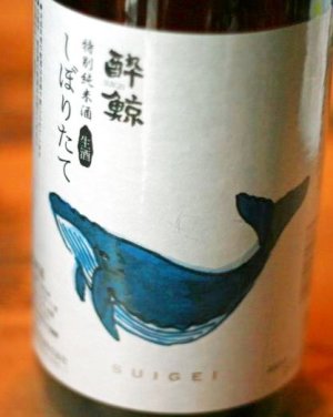 画像1: 酔鯨 特別純米酒 しぼりたて生酒　1.8L & 720ML