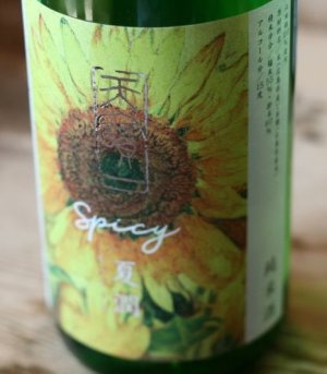 画像2: 夏限定酒   天寶一　純米酒　SPICY  夏潤　  1.8L & 720ml